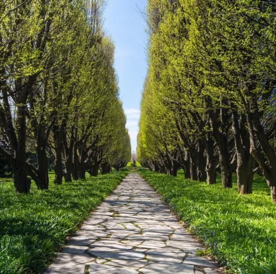 Niagara Parks Commission