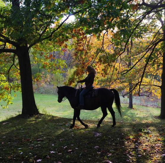 Niagara Riding Stables